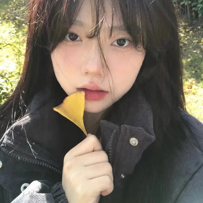 惨雨第二季